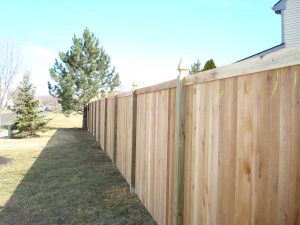 sunshine on a wood fence