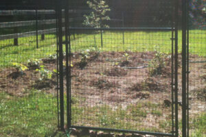 deer fencing around garden