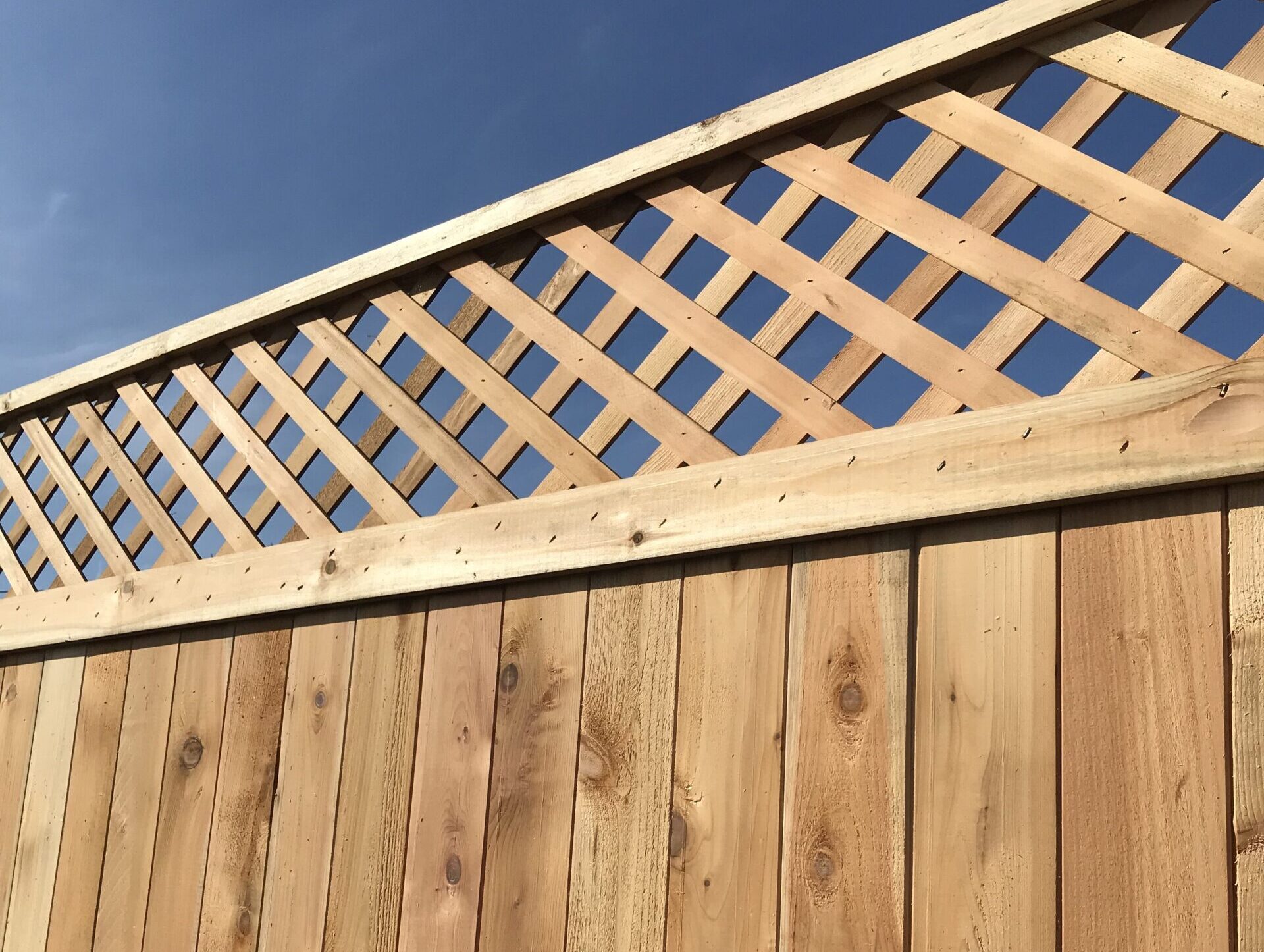 lattice top tongue and groove fencing