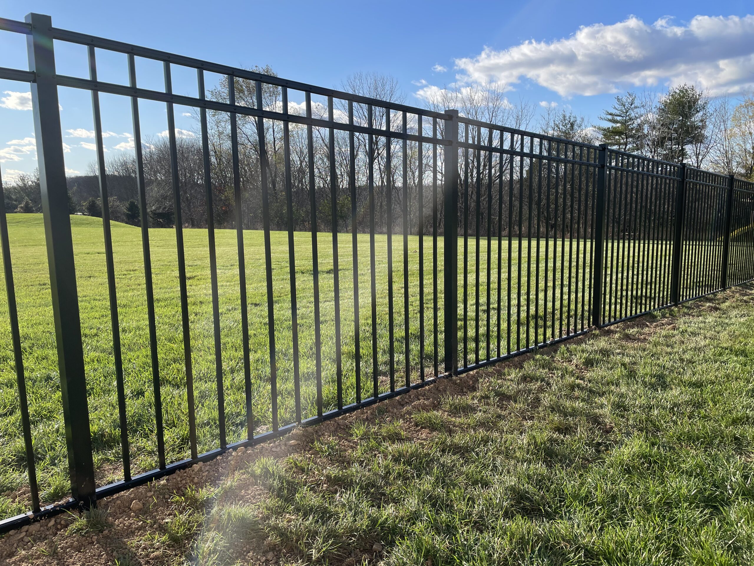 54 inch black ascot fence